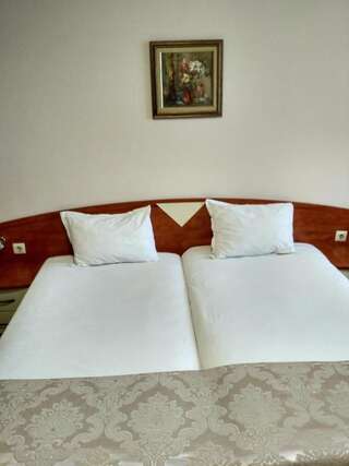 Отель Отель Филипополис Пловдив Двухместный номер с 1 кроватью или 2 отдельными кроватями-18