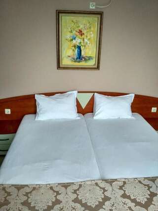 Отель Отель Филипополис Пловдив Двухместный номер с 1 кроватью или 2 отдельными кроватями-35